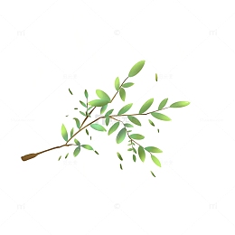 手绘谷雨立夏树枝绿叶夏天绿植插图