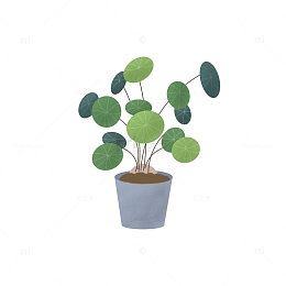 绿植植物室内装饰盆栽手绘叶子