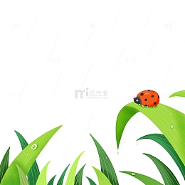 手绘谷雨绿叶瓢虫