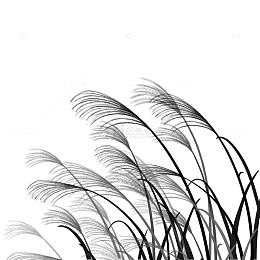 水墨植物芦苇装饰插画元素