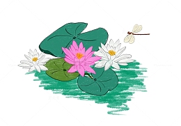 莲花荷叶蜻蜓国潮国风手绘铅笔画