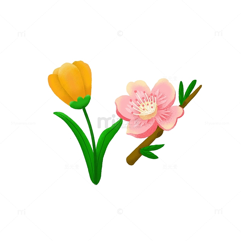 春季郁金香桃花花卉噪点肌理手绘插画
