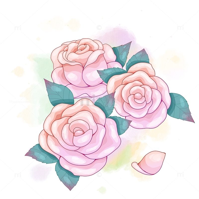 粉色浪漫玫瑰花朵