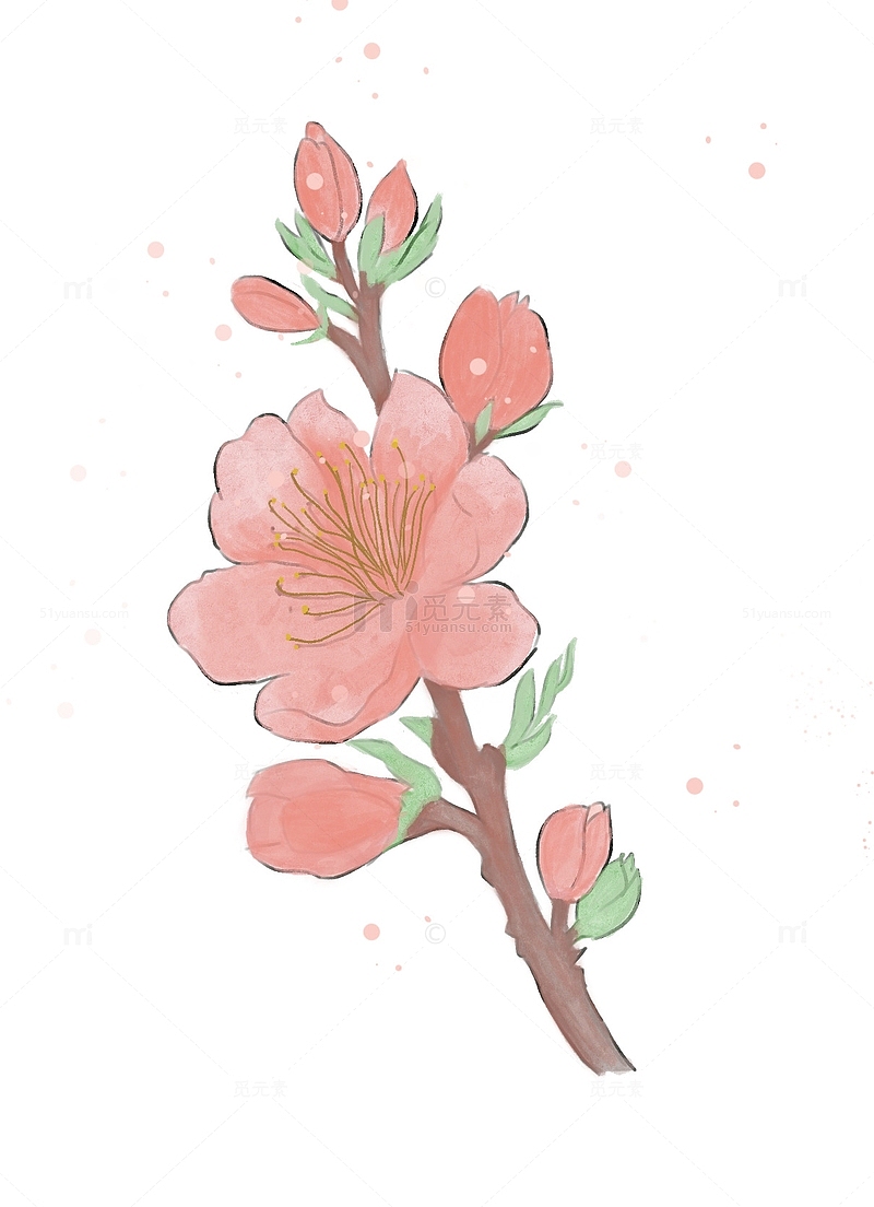 春天粉色桃花绿叶花朵