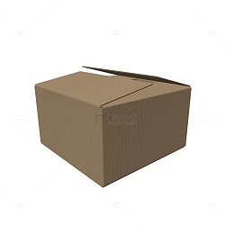 快递瓦楞纸箱样机