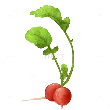 酸萝卜萝卜丝水果萝卜觅元素为您精心挑选了65张内容丰富萝卜卡通高清