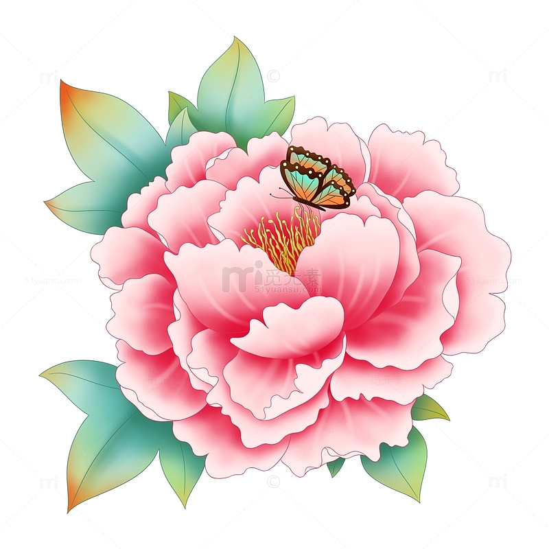 粉色小清新手绘蝴蝶牡丹花花朵花卉绿叶植物