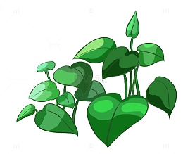 清新绿色树叶绿萝叶子手绘植物