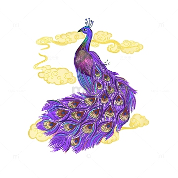 动物插画 孔雀祥云