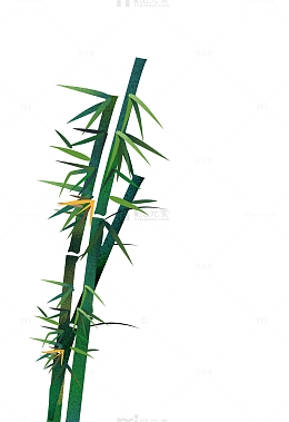 绿色春季竹子竹叶竹林元素