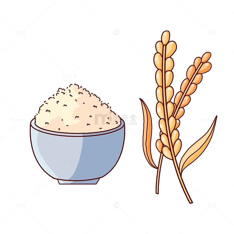 劳动节小麦米饭