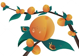 果子桃子杏子树枝树叶手绘