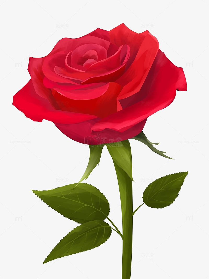 紅色玫瑰花情人節元素