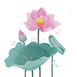 清新唯美水彩风荷花花卉