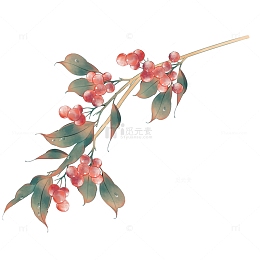 红色手绘渐变色浆果插画