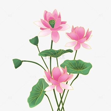 中国风国潮噪点手绘荷花莲蓬荷叶植物元素