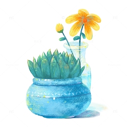 唯美的绿植盆栽