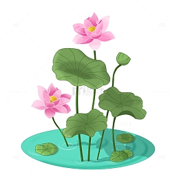 盛开的荷花池塘荷叶手绘图
