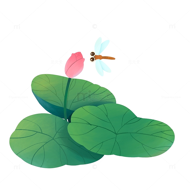 立夏荷叶和花蕾蜻蜓元素