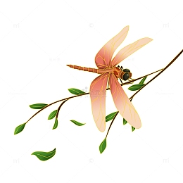 立夏昆虫蜻蜓国潮金线