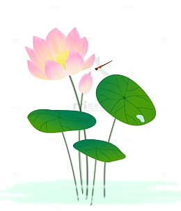 立夏荷花矢量插画