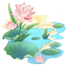 立夏荷花盛开二十四节气