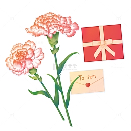 手绘温馨母亲节康乃馨花朵礼物礼盒祝福书信