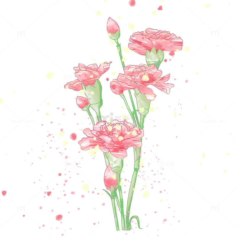 感恩节母亲节康乃馨鲜花花束装饰元素