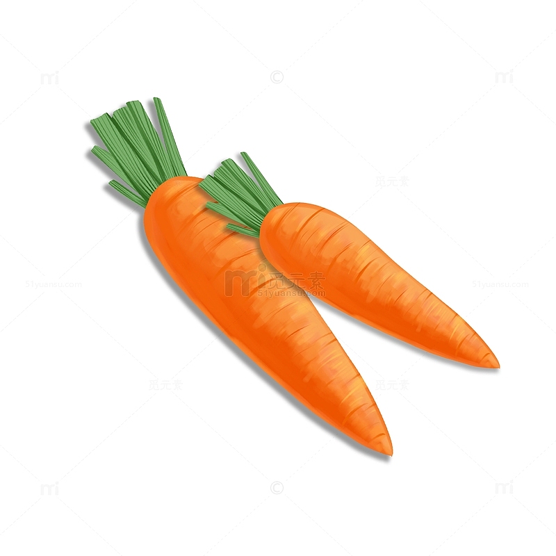 橘色蔬菜植物手绘胡萝卜免抠