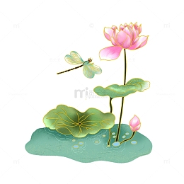 蜻蜓 荷花 立夏