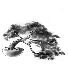水墨盆栽松树