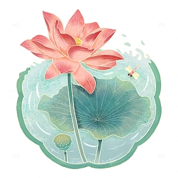 立夏水彩画荷花