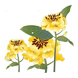 黄色春天小清新花草油菜花手绘装饰