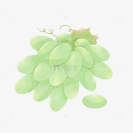 psdpng清新水果系列水彩青提pngpng卡通水墨绿叶荷叶背景pngpng粉色