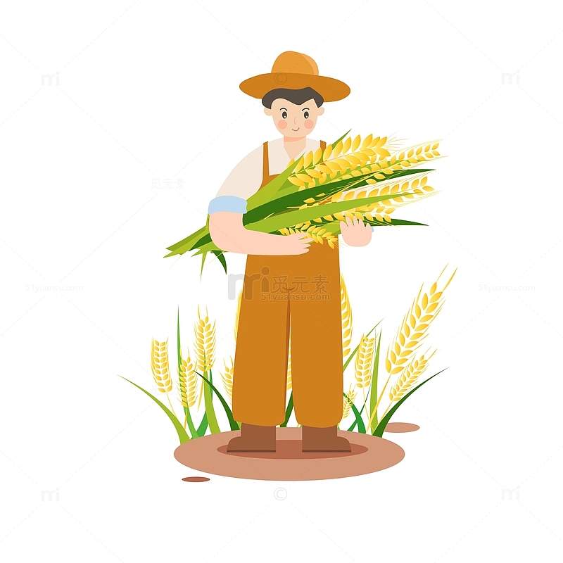 小满芒种农民手持麦穗麦子农田水稻粮食