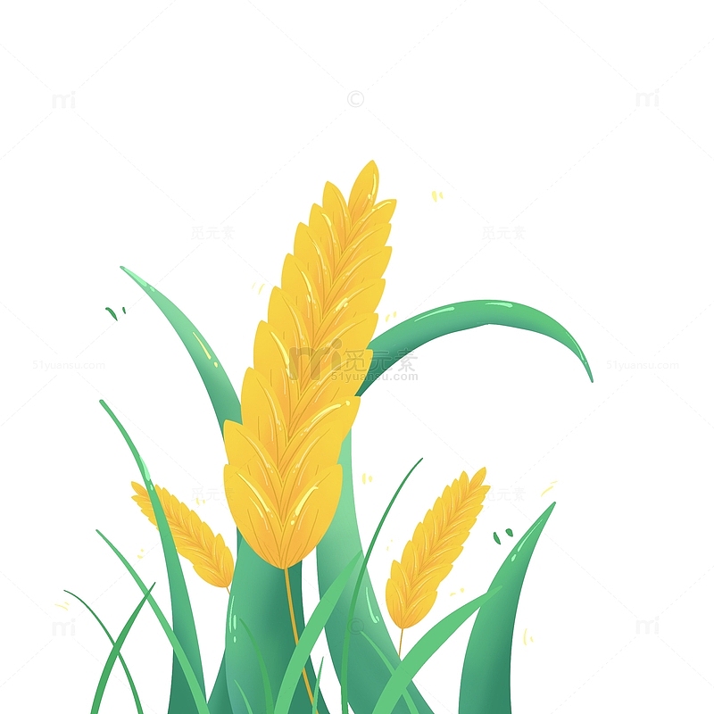 手绘小麦小满麦子丰收卡通元素
