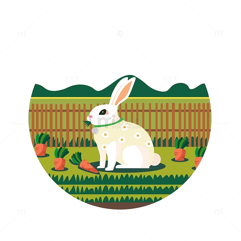 动物兔子宠物胡萝卜农场庄园小白兔植物田野