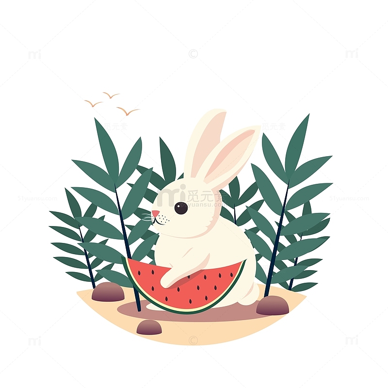 动物夏季小白兔吃西瓜兔子植物绿植