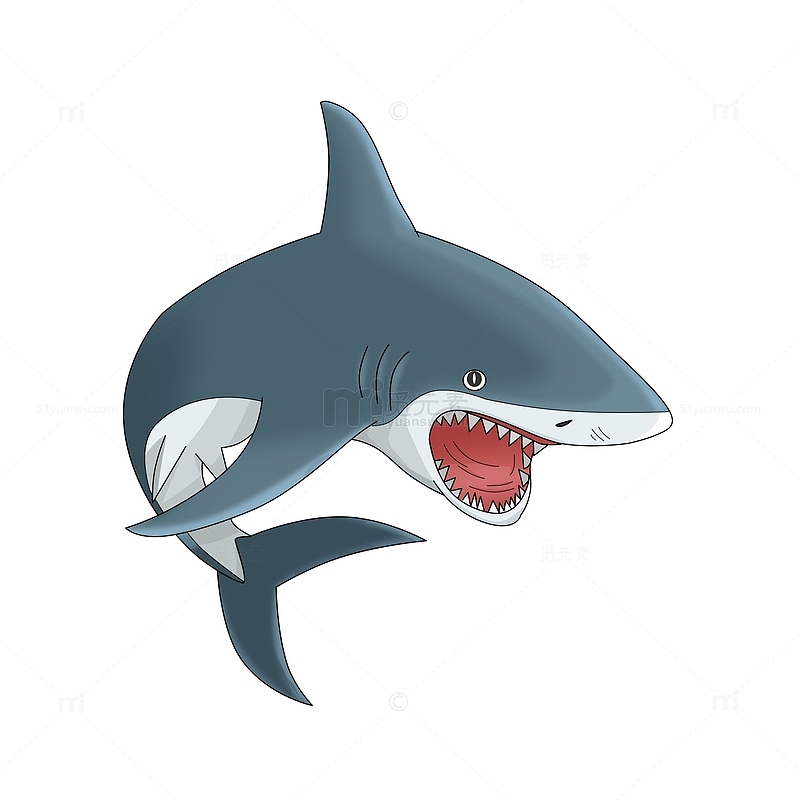 海洋生物动物卡通鲨鱼