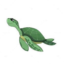 可爱海洋动物绿色卡通乌龟