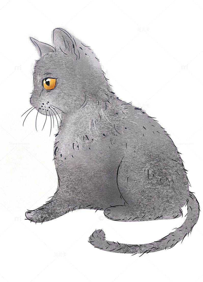 动物猫咪手绘蓝猫灰色宠物