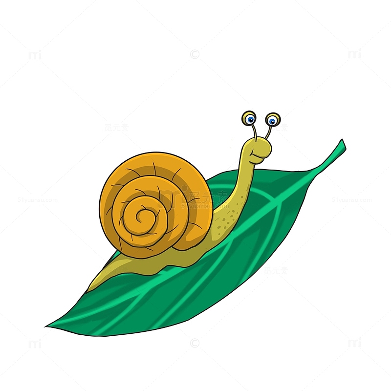 爬叶子上的蜗牛
