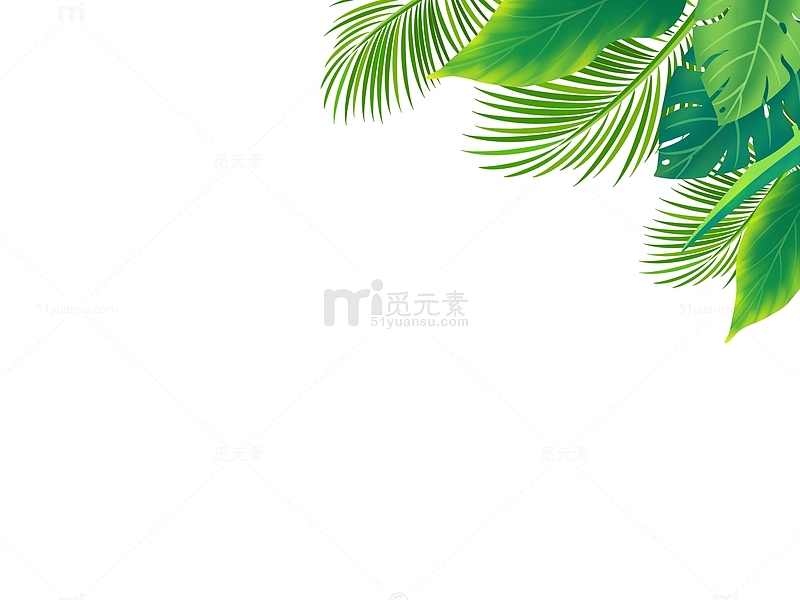 夏天夏季热带植物绿叶边框海报装饰元素