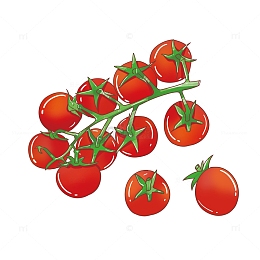 蔬菜小番茄元素