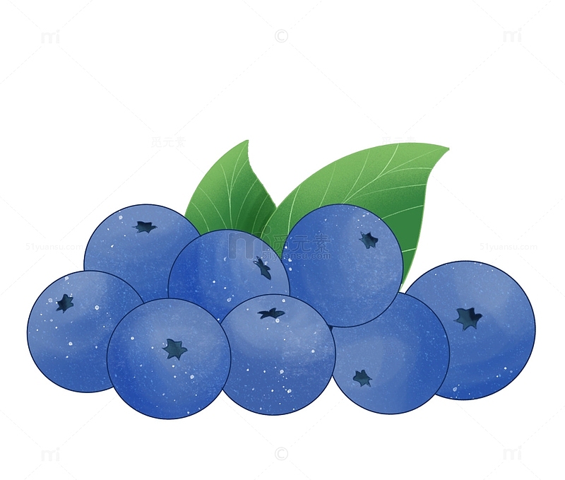 手绘蓝莓水果元素