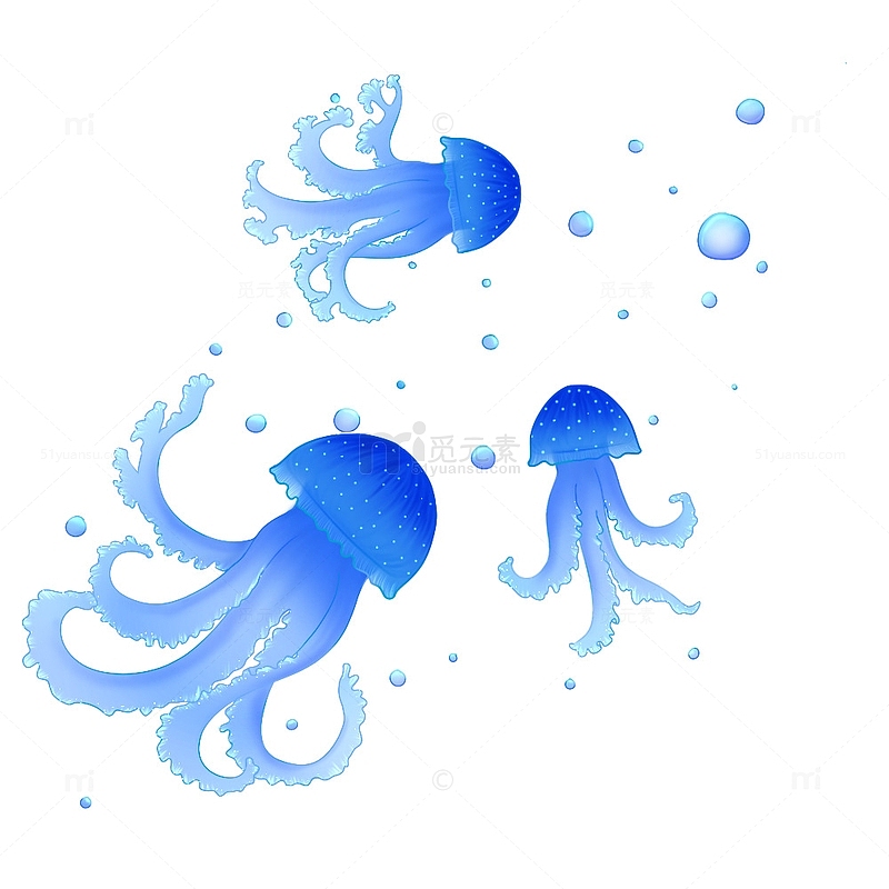 蓝色白斑水母