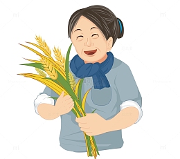 芒种农民丰收小麦果实累累农忙场景