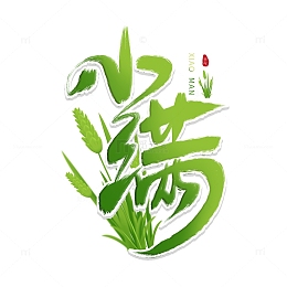 小满手写艺术字