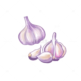 蔬菜大蒜元素