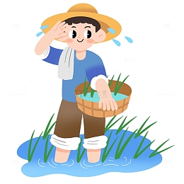 芒种农民伯伯水稻插秧